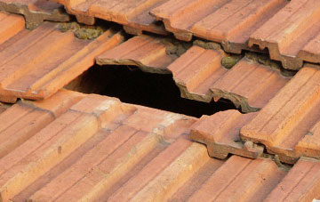 roof repair Burtle Hill, Somerset
