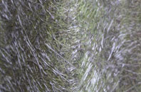 Burtle Hill fibreglass roof work